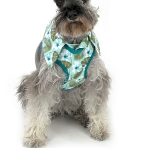 ❤️10/$40 New Vibrant life Hawaiian tropical pet harness